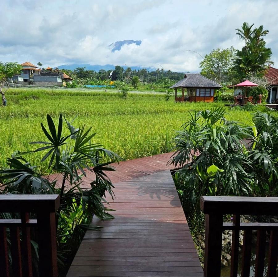 Cabé Bali Jasri